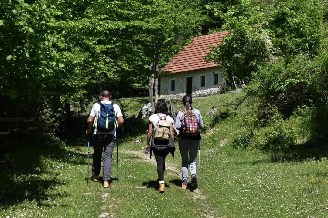 Apartman Sara Plužine Exteriér fotografie