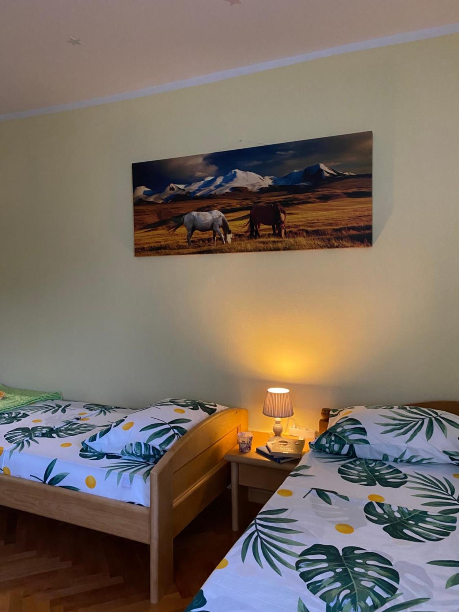 Apartman Sara Plužine Exteriér fotografie