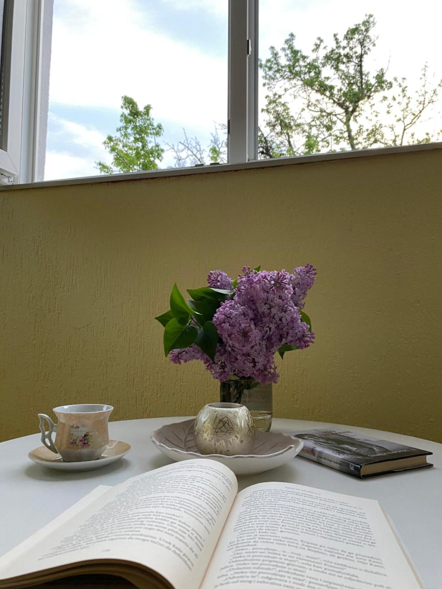 Apartman Sara Plužine Exteriér fotografie